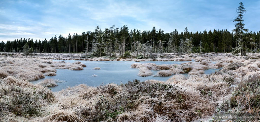 Saukopfmoor am Rennsteig bei Oberhof / Foto: Ralph Frank