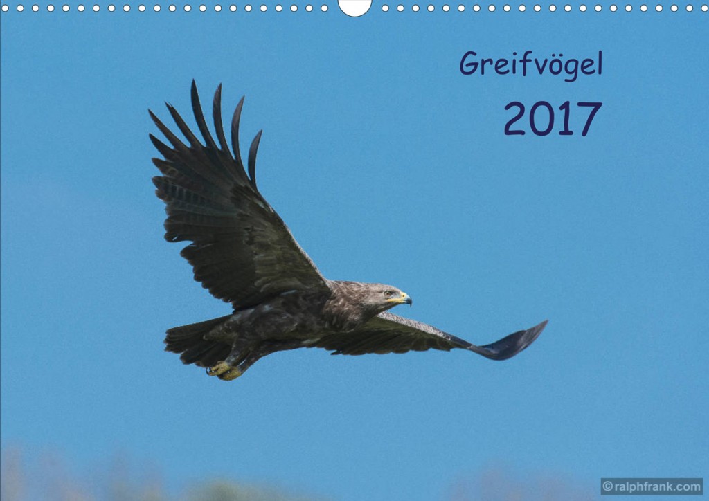 2017_greifvoegel_quer_1200_logo