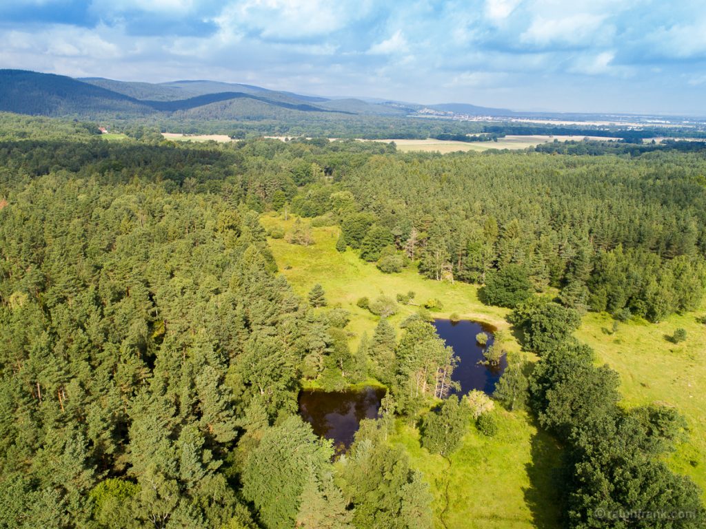 Am Erlebach bei Crawinkel, Thüringen / Foto: Ralph Frank