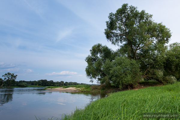 WWF Biosphärenreservat Mittlere Elbe