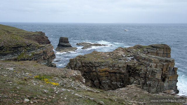 Orkney / Küste bei Yesnaby