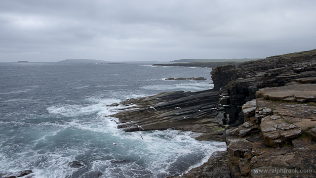 Orkney / Küste bei Yesnaby