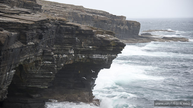 Orkney Northside