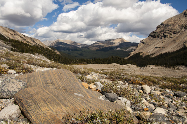 Bow Glacier / Foto: Ralph Frank