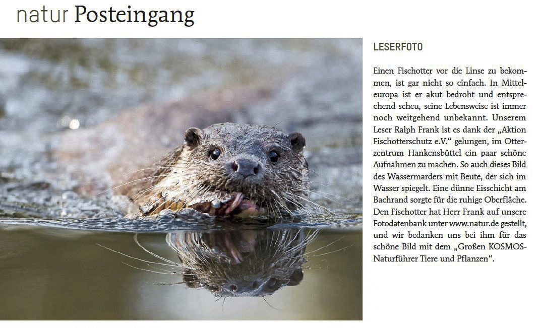 Leserfoto (zum Vergößern bitte anklicken)