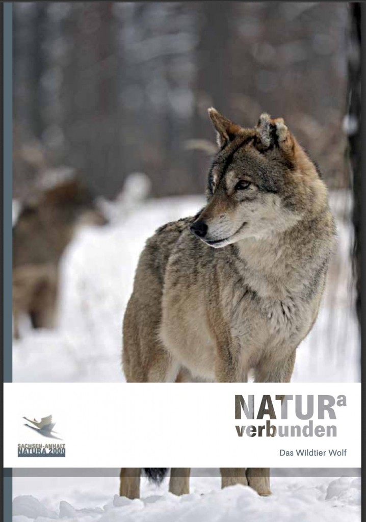 Broschüre Wildtier Wolf