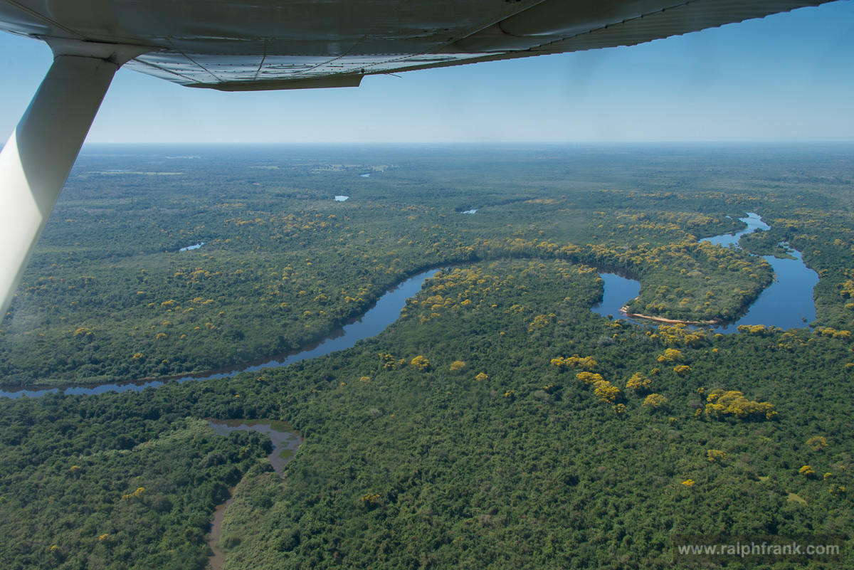 Brazil / Pantanal