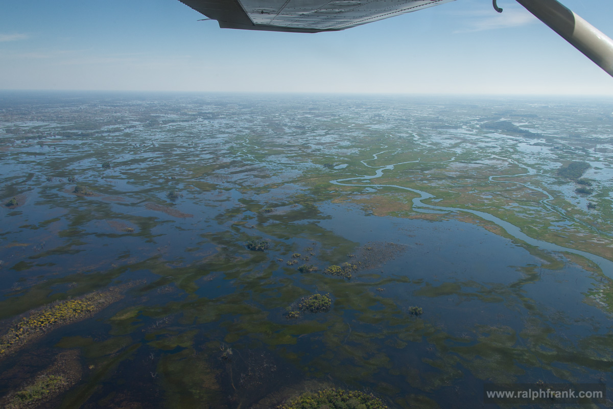 Brazil / Pantanal