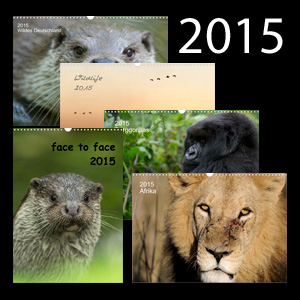 kalender_blockeintrag_150